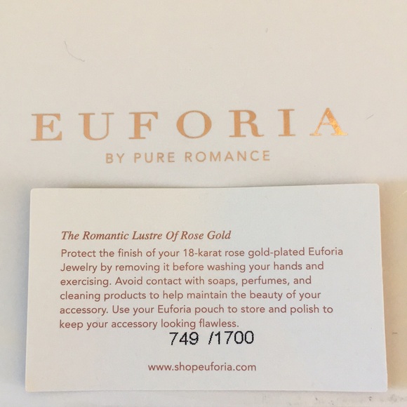 Euforia Brushed Rose Gold Bangle - Picture 6 of 7